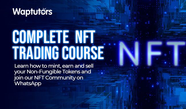 NFT Flipping & Trading Course